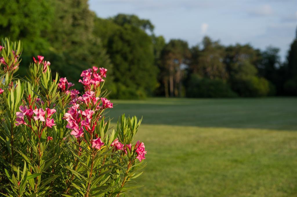 Relais Monaco Country Hotel & Spa Ponzano Veneto Zewnętrze zdjęcie